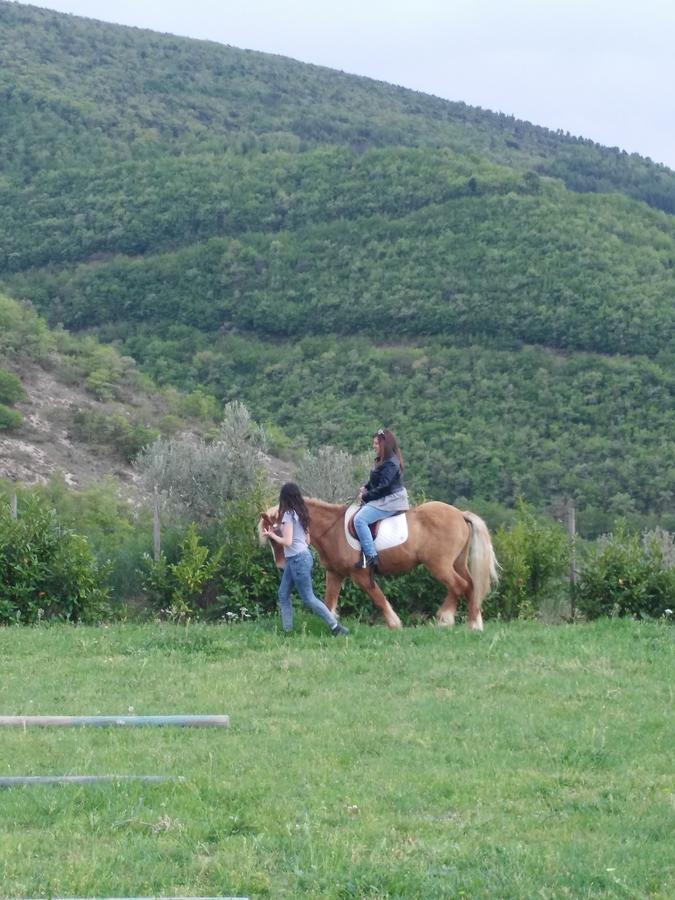 Agriturismo San Martino Foligno Eksteriør bilde
