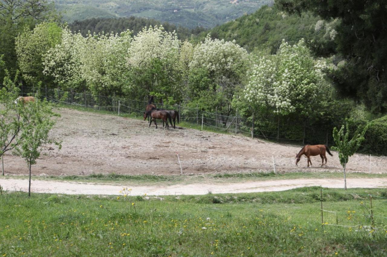 Agriturismo San Martino Foligno Eksteriør bilde