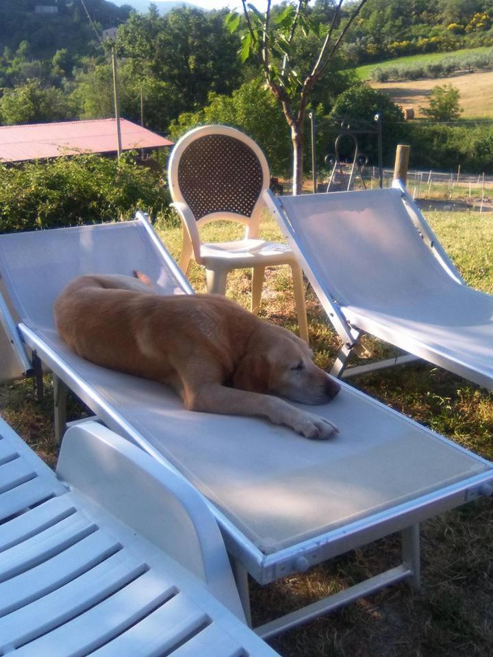 Agriturismo San Martino Foligno Eksteriør bilde
