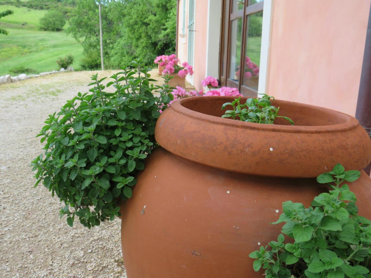 Agriturismo San Martino Foligno Eksteriør bilde